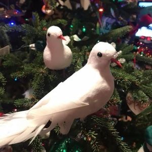 Two Turtle doves makes a beautiful Christmas 🎁 gift